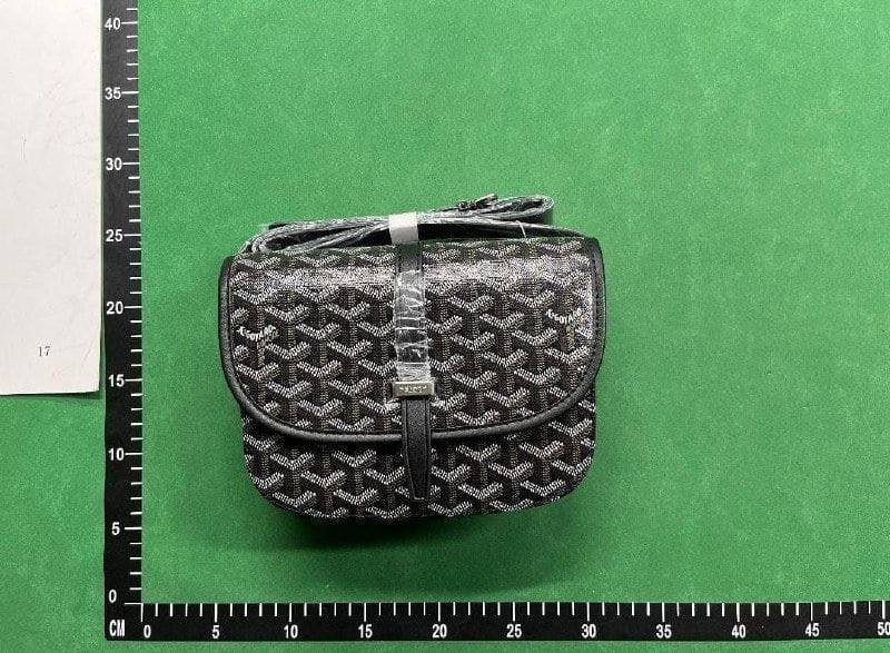 Goyard Bag -2
