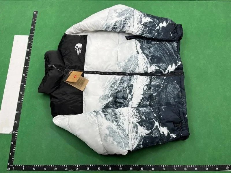 The North Face jacket -2