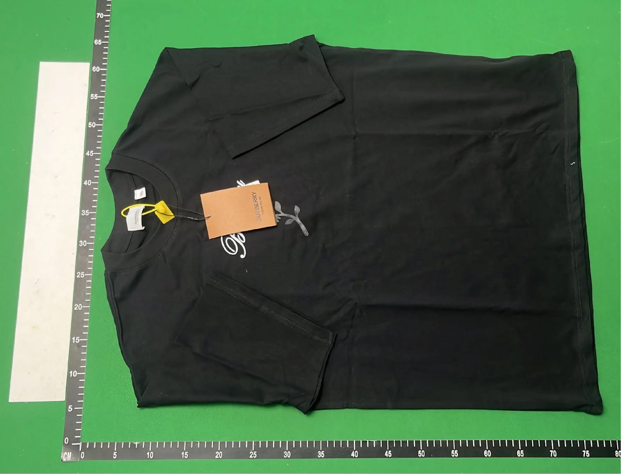  Burberry T-shirt -2