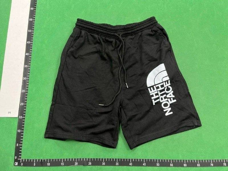 The North face Shorts -4
