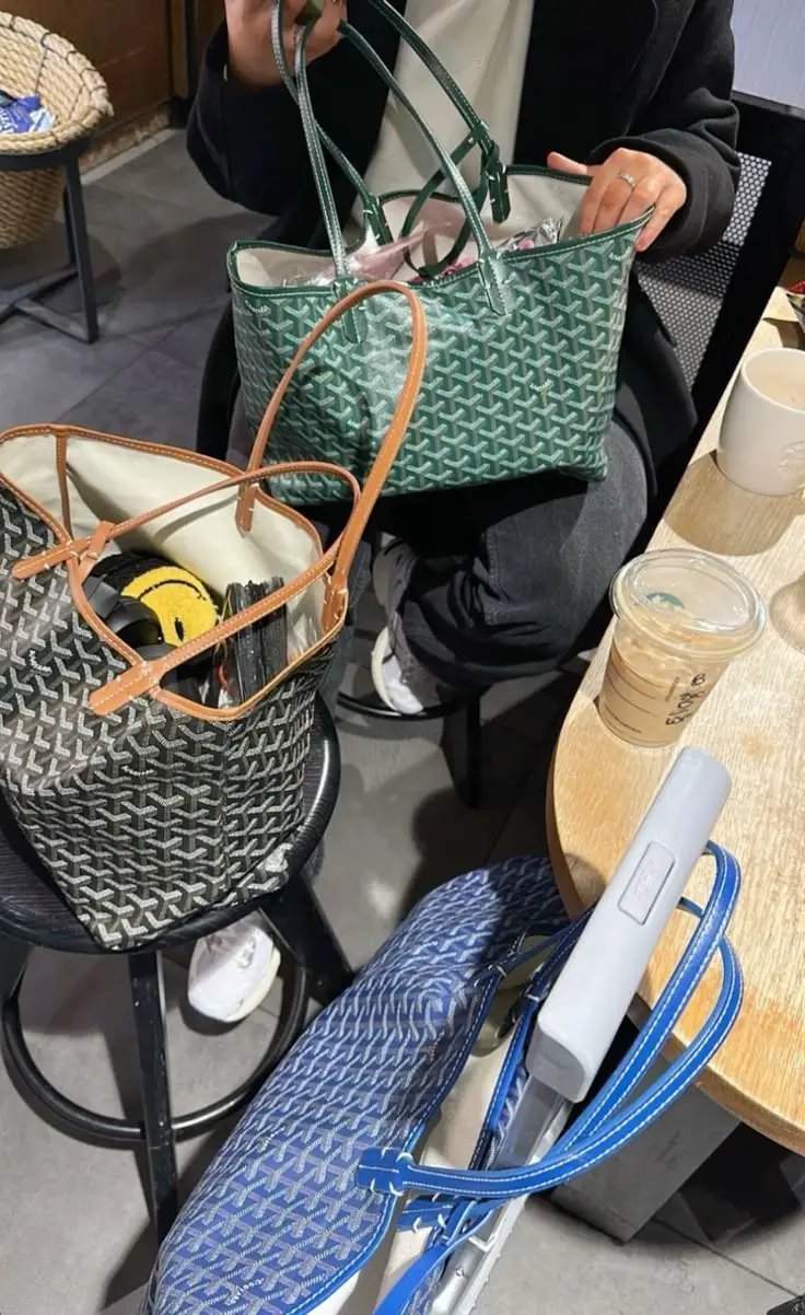 Goyard bag -2