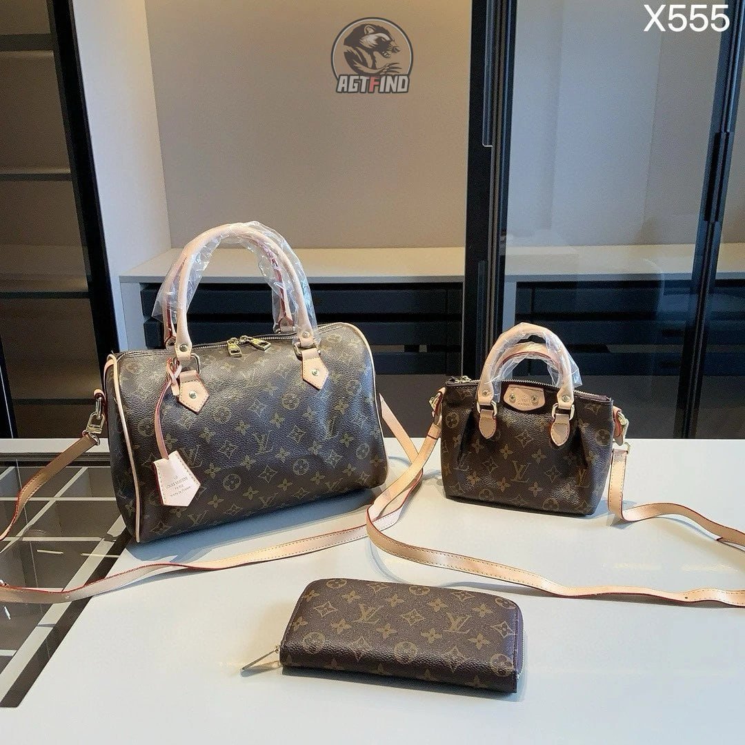 Lv/Chanel/YSL/Gucci/Dior/Miumiu -3