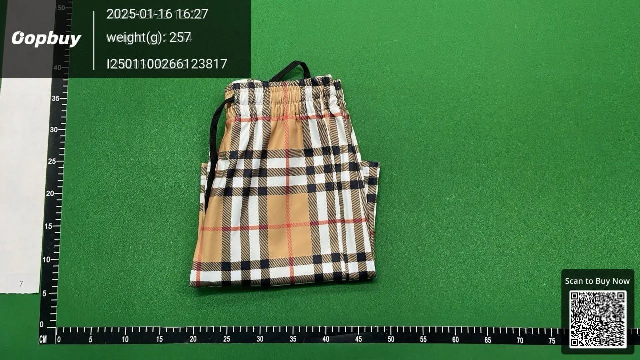 Burberry Check Print & Logo Shorts [25+ styles] -3