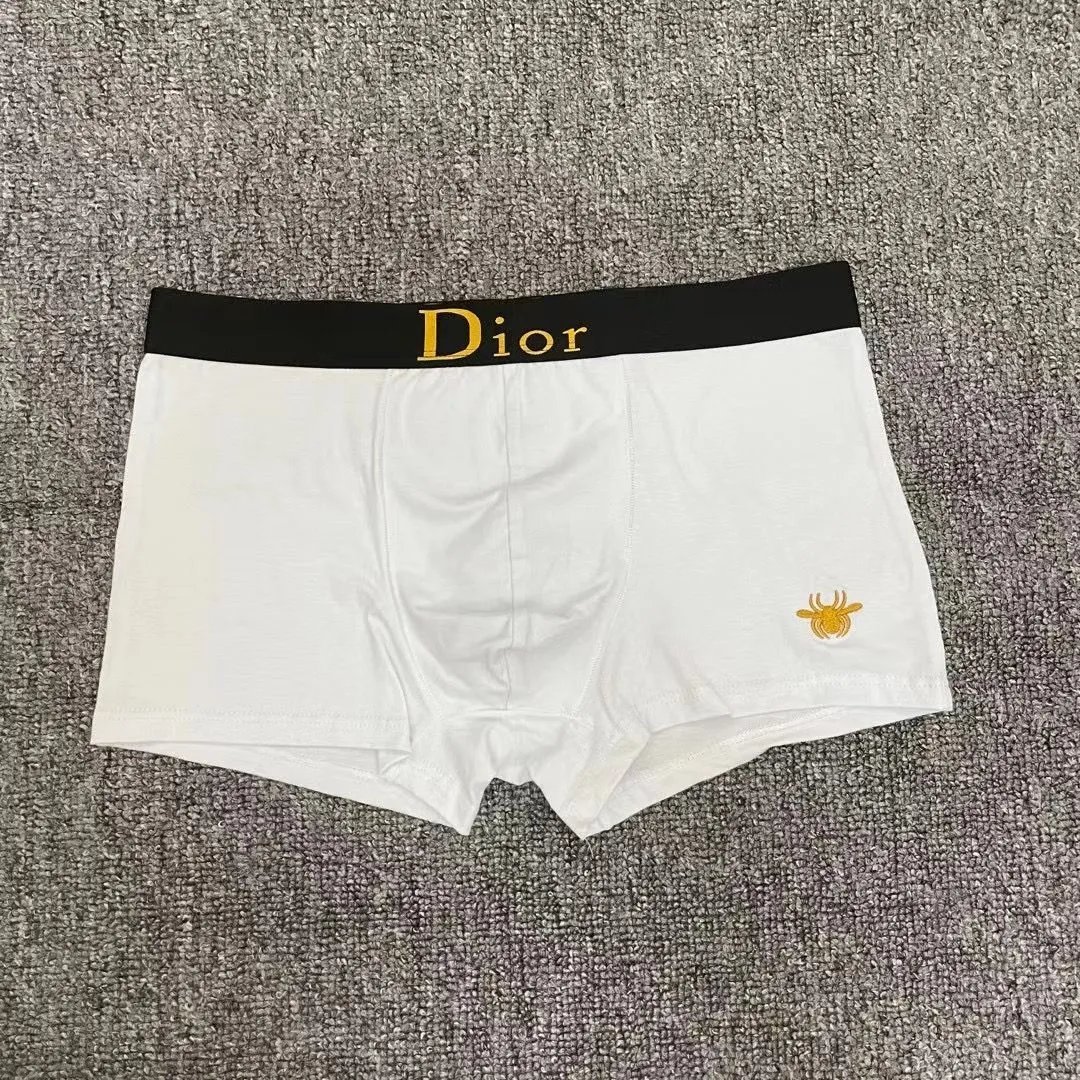  Dior Spider Embroidery Underwear -2